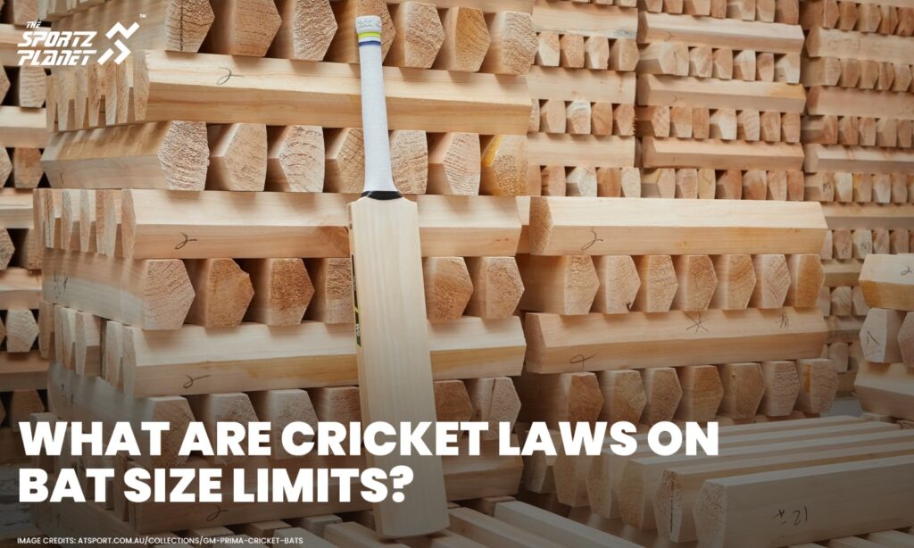 Explained: What Are Cricket Laws On Bat Size Limits?