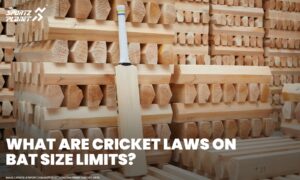 Explained: What Are Cricket Laws On Bat Size Limits?
